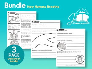 How Humans Breathe | JW Homeschool Worksheet